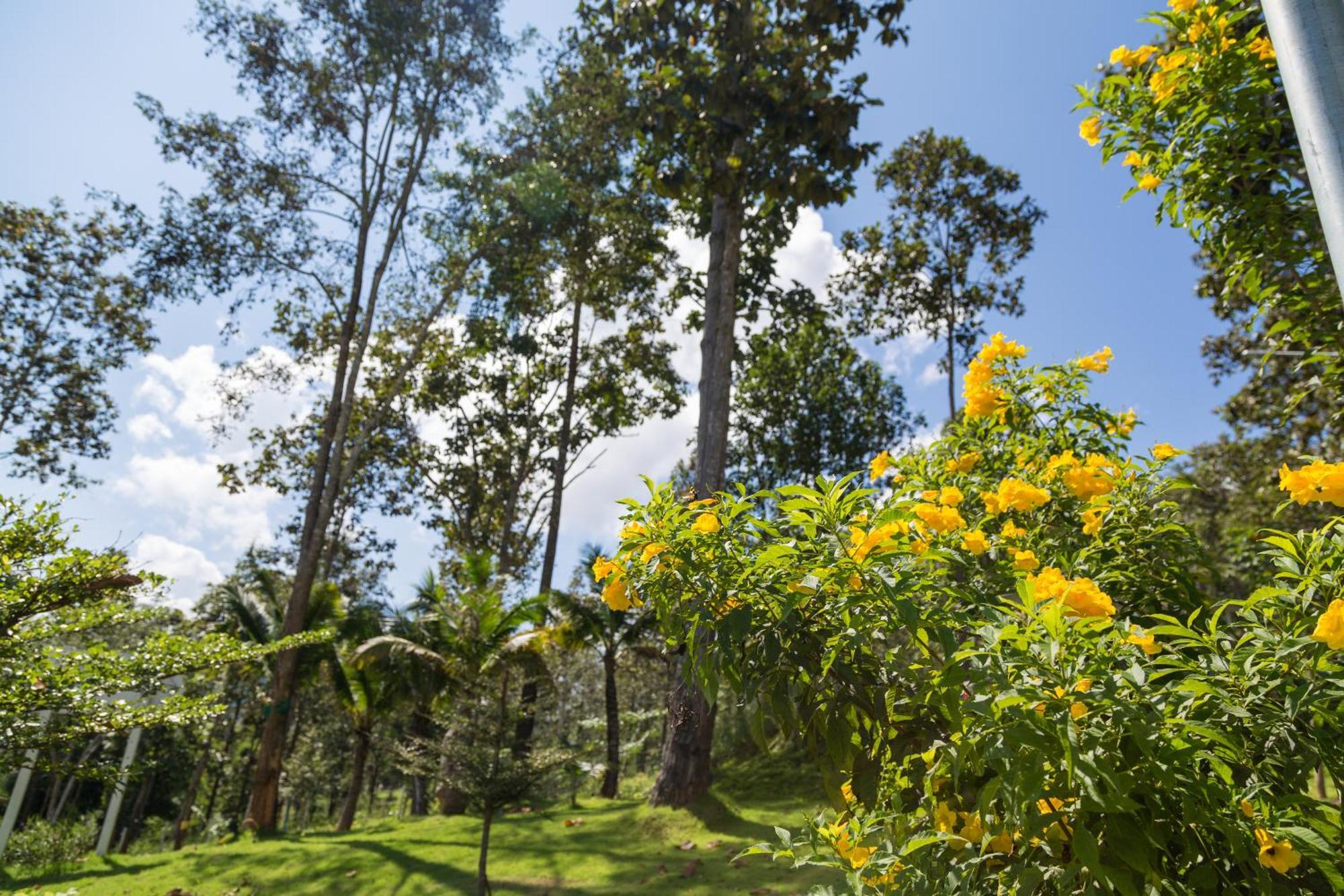 Phu Pha View Doi Hotel Samoeng Exterior photo